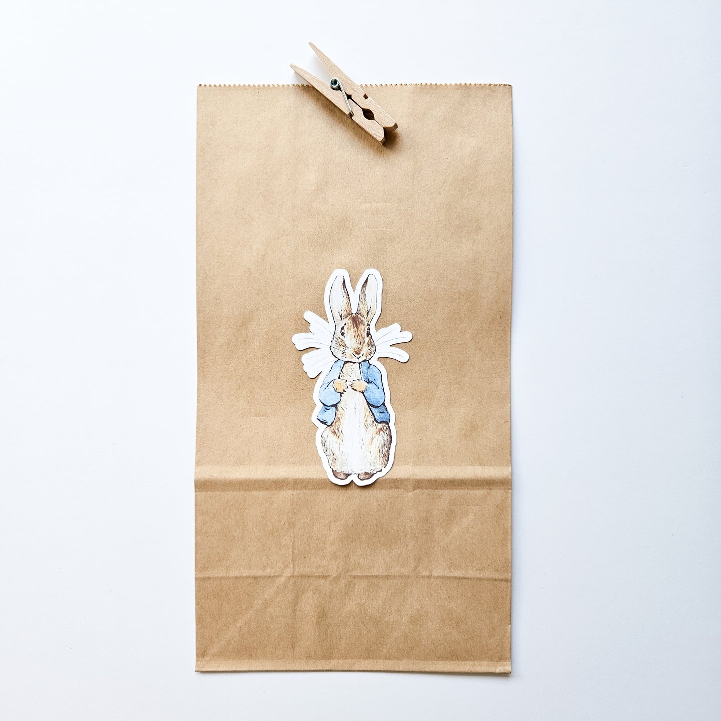 Sac surprise Kraft/ Peter Rabbit