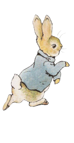 Ajout Motif pour chapeau / Peter Rabbit