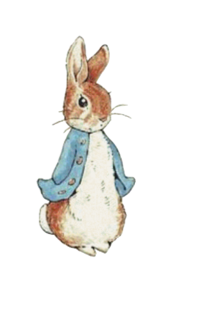 Ajout Motif pour chapeau / Peter Rabbit