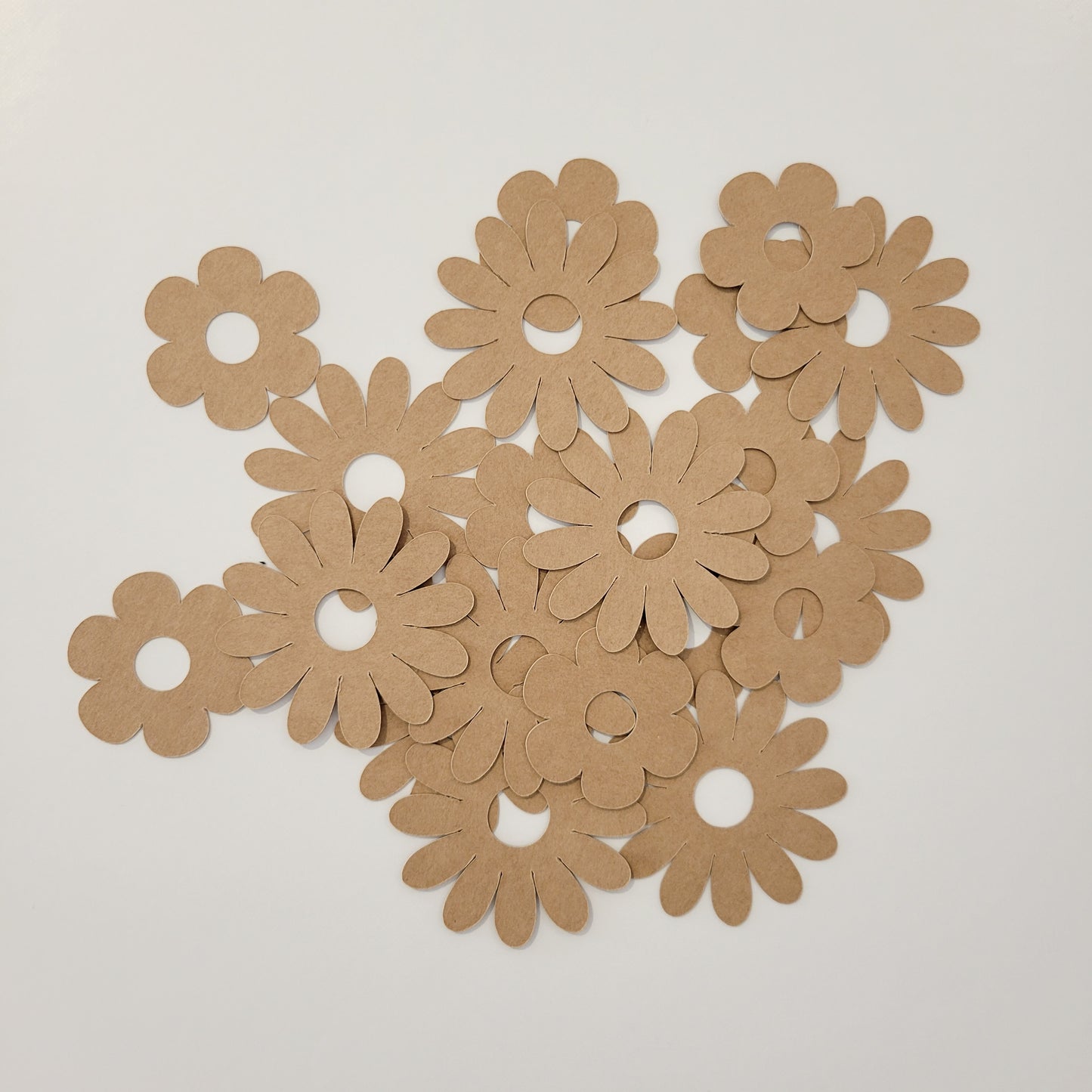 Confettis minimalistes Kraft / Daisy