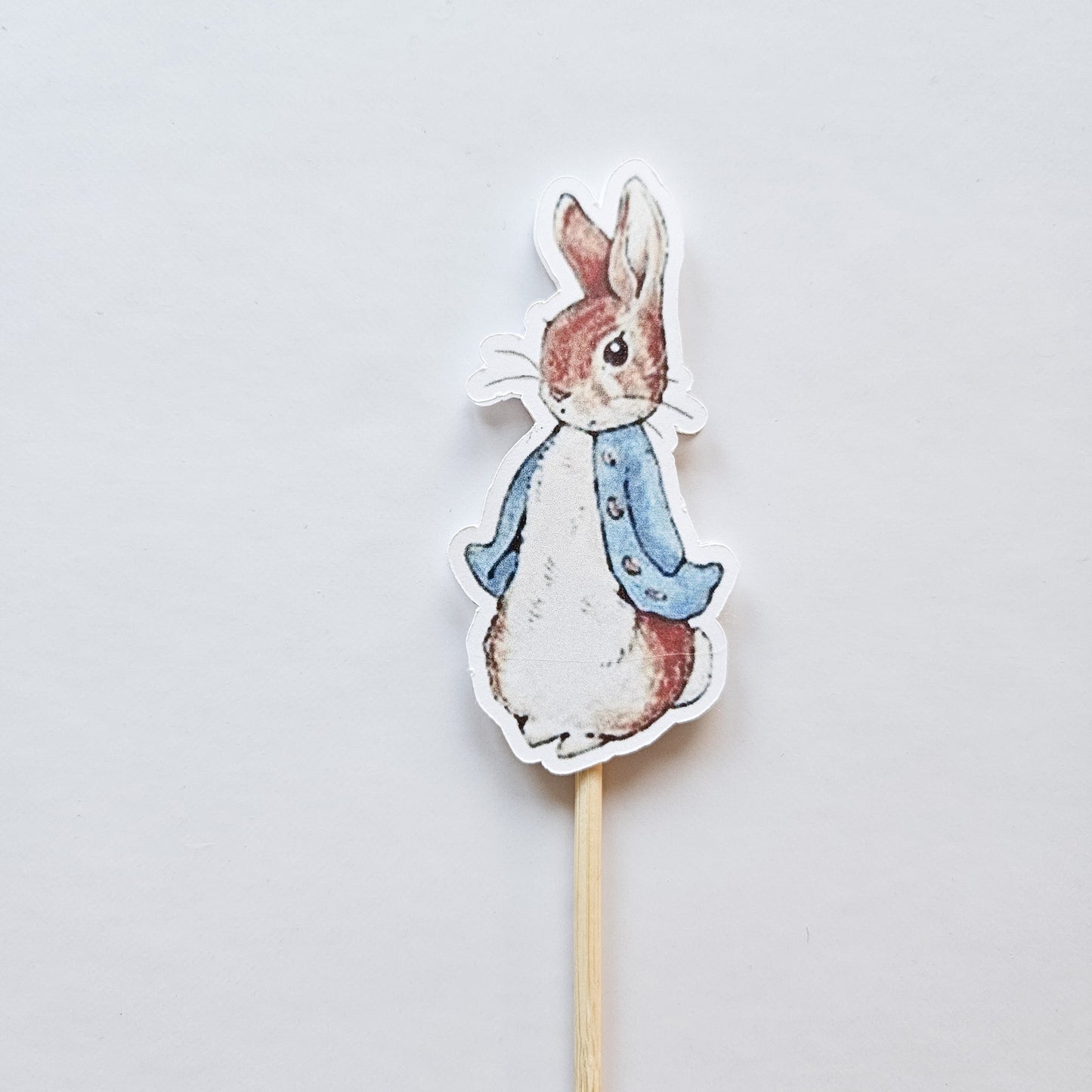 Cake Topper / Peter Rabbit