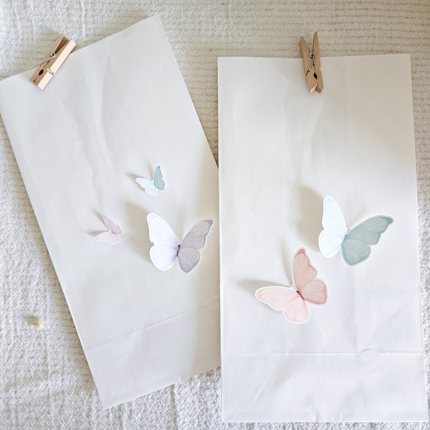 Sacs pour surprises  / Papillons