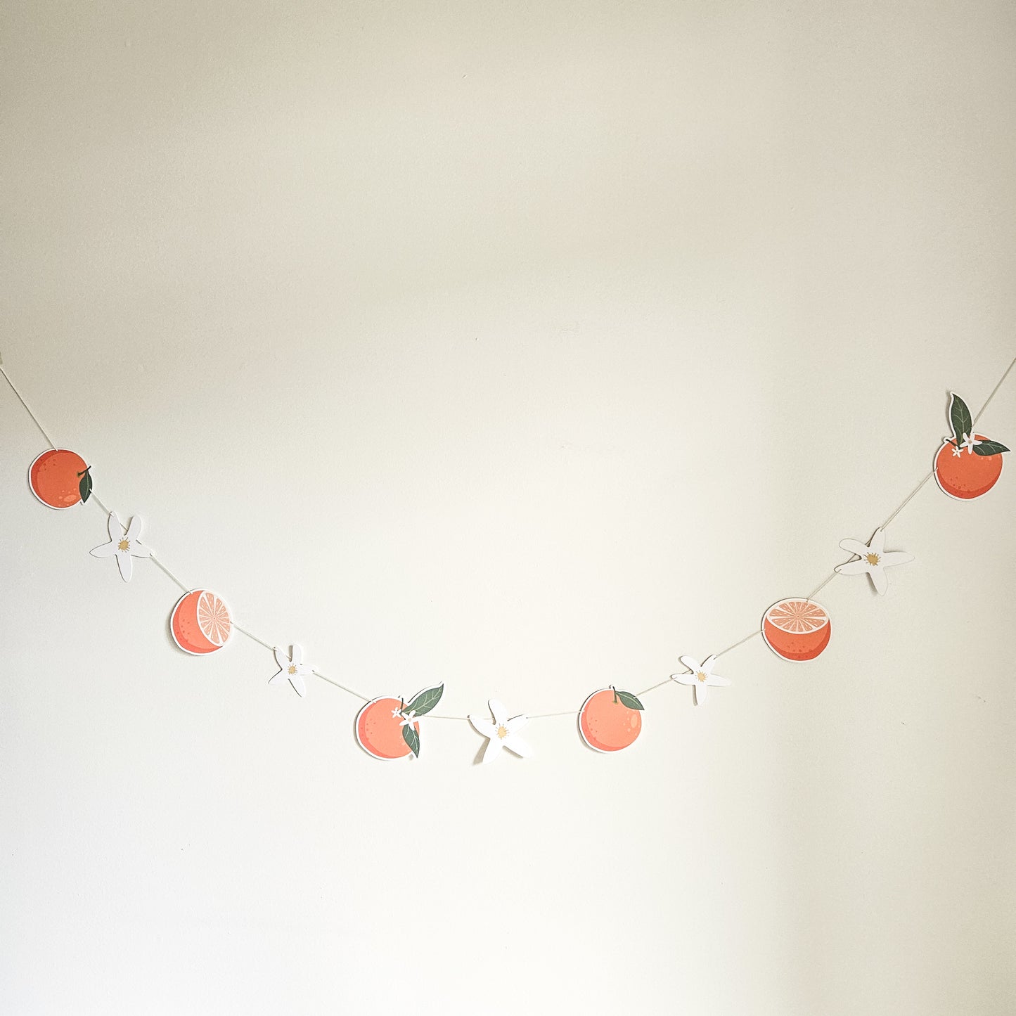 Decorative garland / Clementine