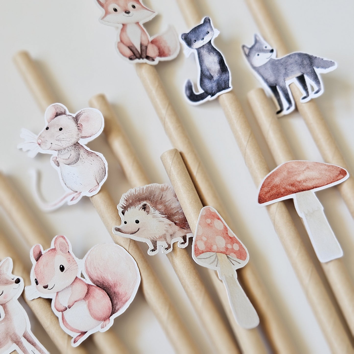 Set of 12 straws / Forest animals