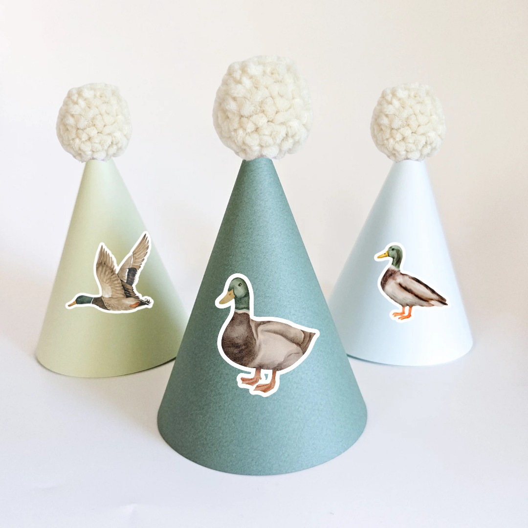 Party Hat Set with Patterns / Duck