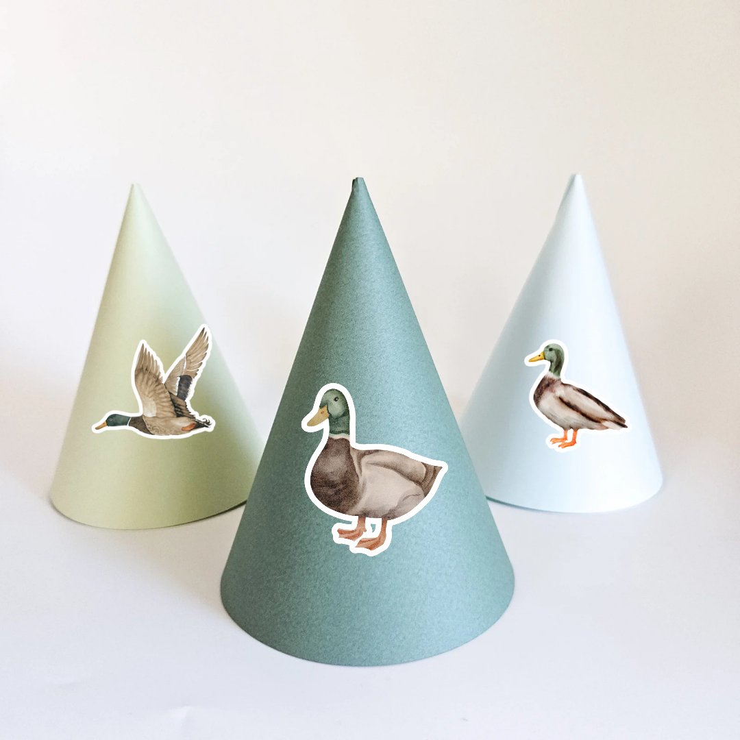 Party Hat Set with Patterns / Duck