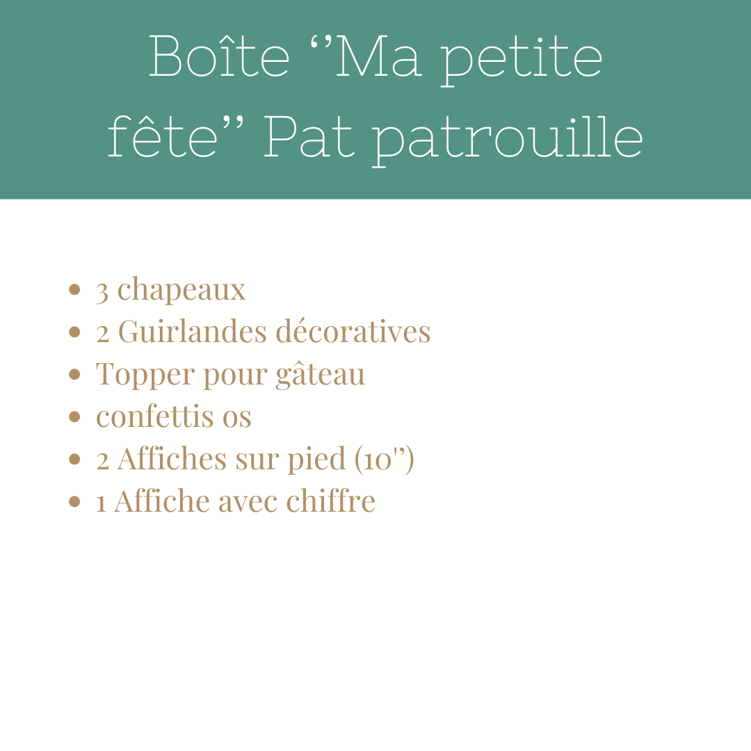 Boîte ''Pat Patrouille''