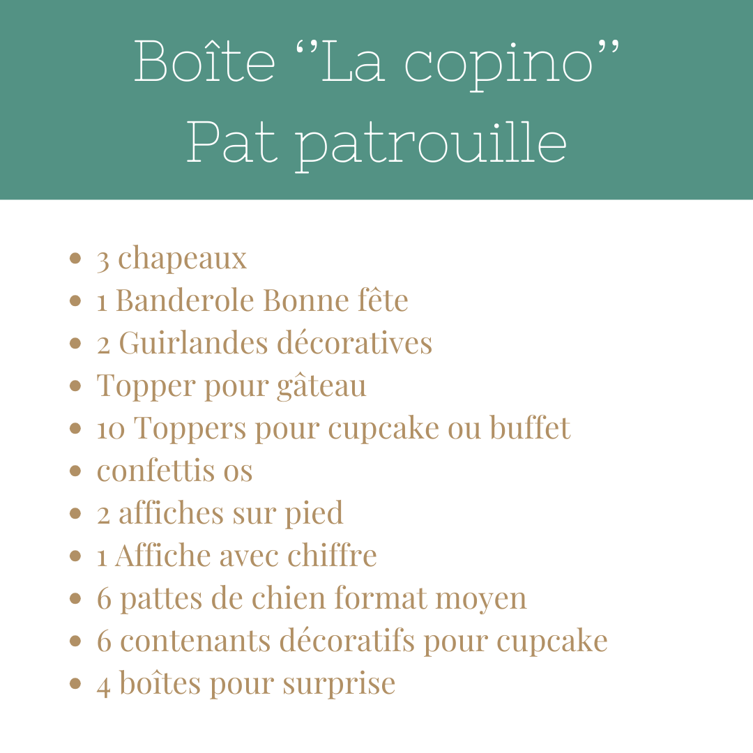 Boîte ''Pat Patrouille''