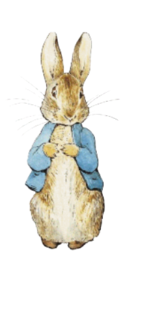 Ajout Motif pour chapeau / Peter Rabbit