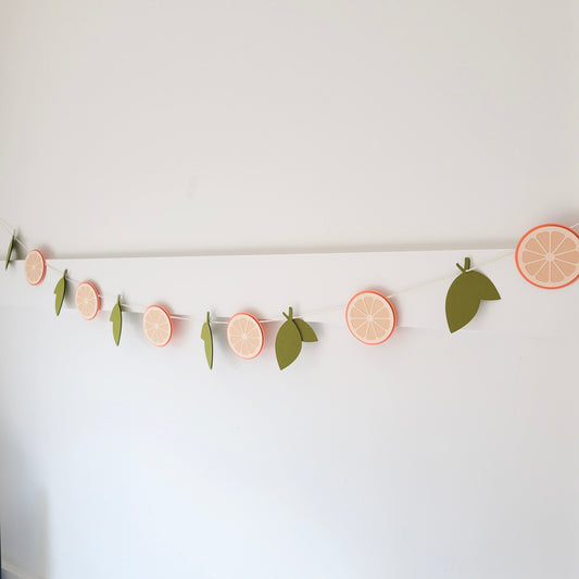 Decorative garland / Citrus