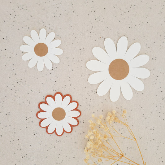 Fleurs décoratives / Daisy
